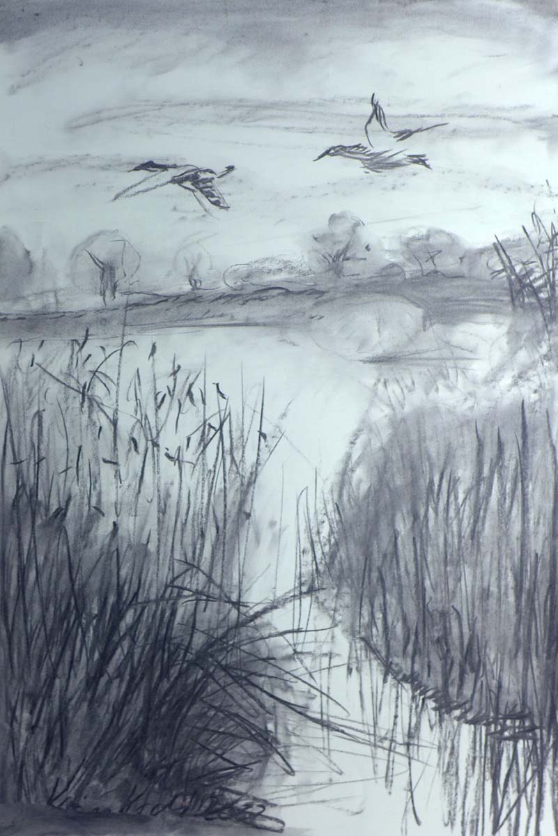 Enten am See, Kohle auf Karton, 60 x 40 cm